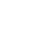 scale